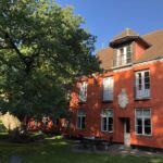 Haven med vores gamle flotte træ Haven med vores gamle flotte træ