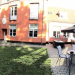 Haven med vores gamle flotte træ Haven med vores gamle flotte træ