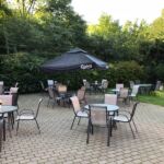 Haven Haven med vores gamle flotte træ